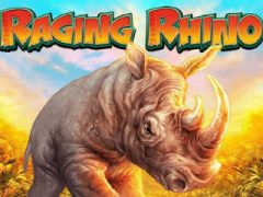 Raging Rhino Slot