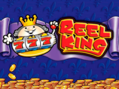 Reel King Slot