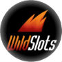 Wildslots small logo