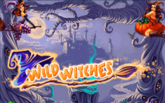 Wild witches slot image