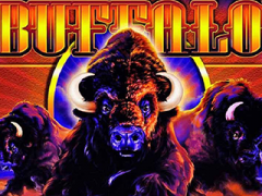 Buffalo Slot