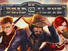 Dead or Alive 2 Slot