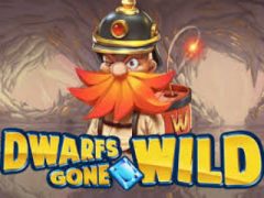 Dwarfs Gone Wild SLot