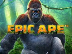 Epic Ape Slot