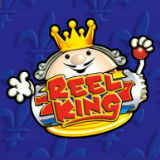 Reel king slot
