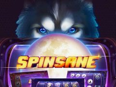 Spinsane Slot – Release date 11.06.2019
