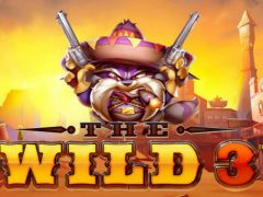 The Wild 3 Slot