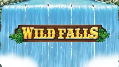 Wild Falls image