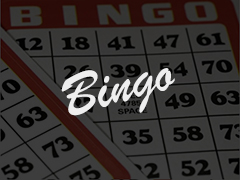 Bingo Online